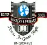 Bigtop Schools logo