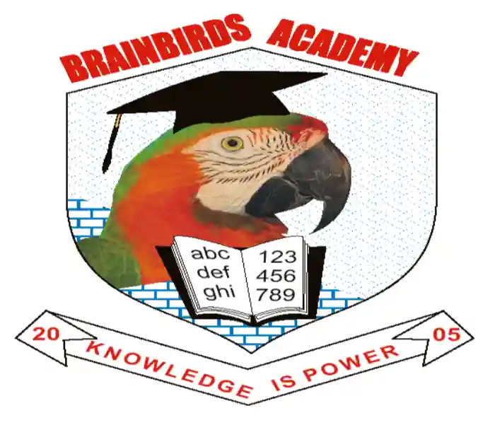 BrainBirds Academy logo