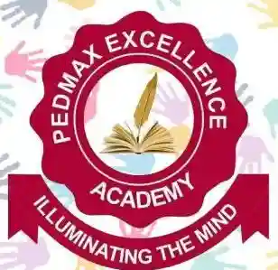 Pedmax Excellence Academy logo