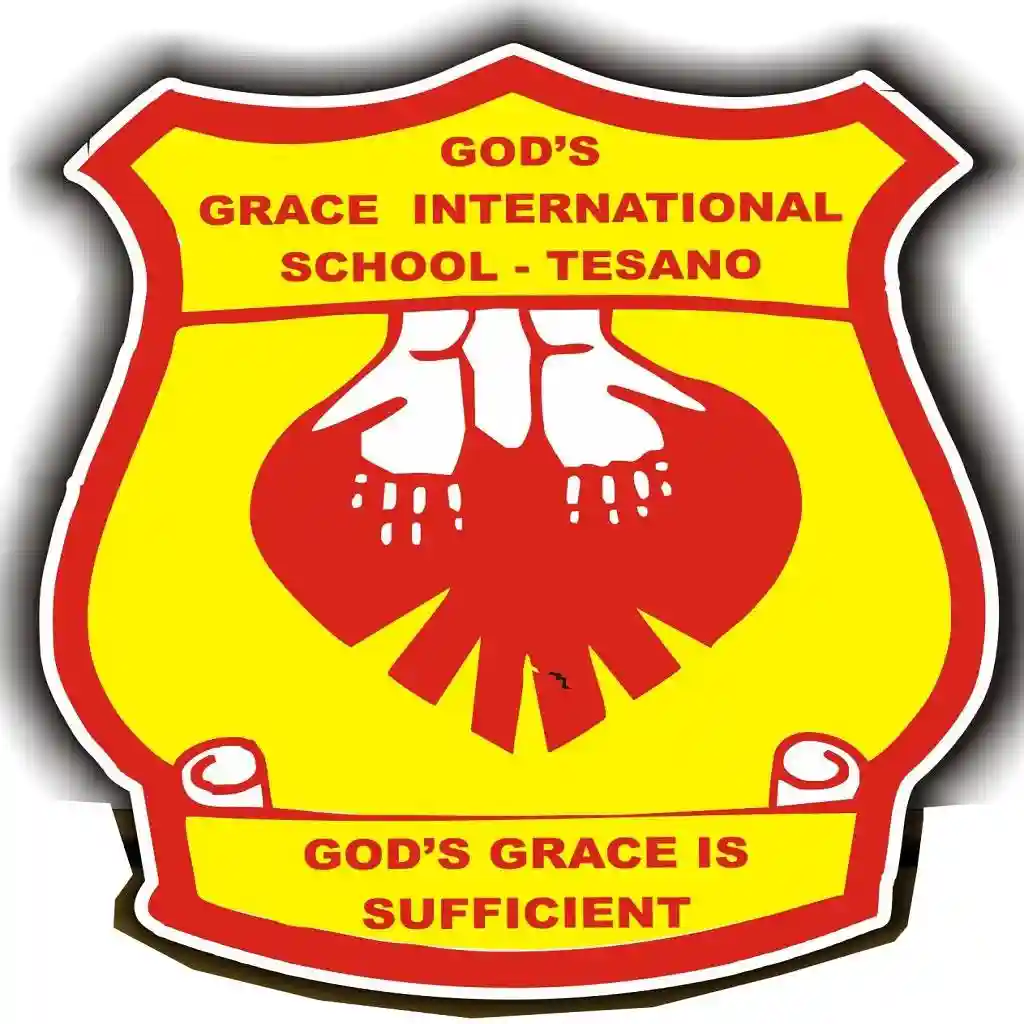 God's Grace International School, Accra logo