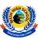 mesh schools Secondary/High School logo