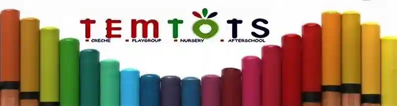 temtots school, ketu-lagos logo