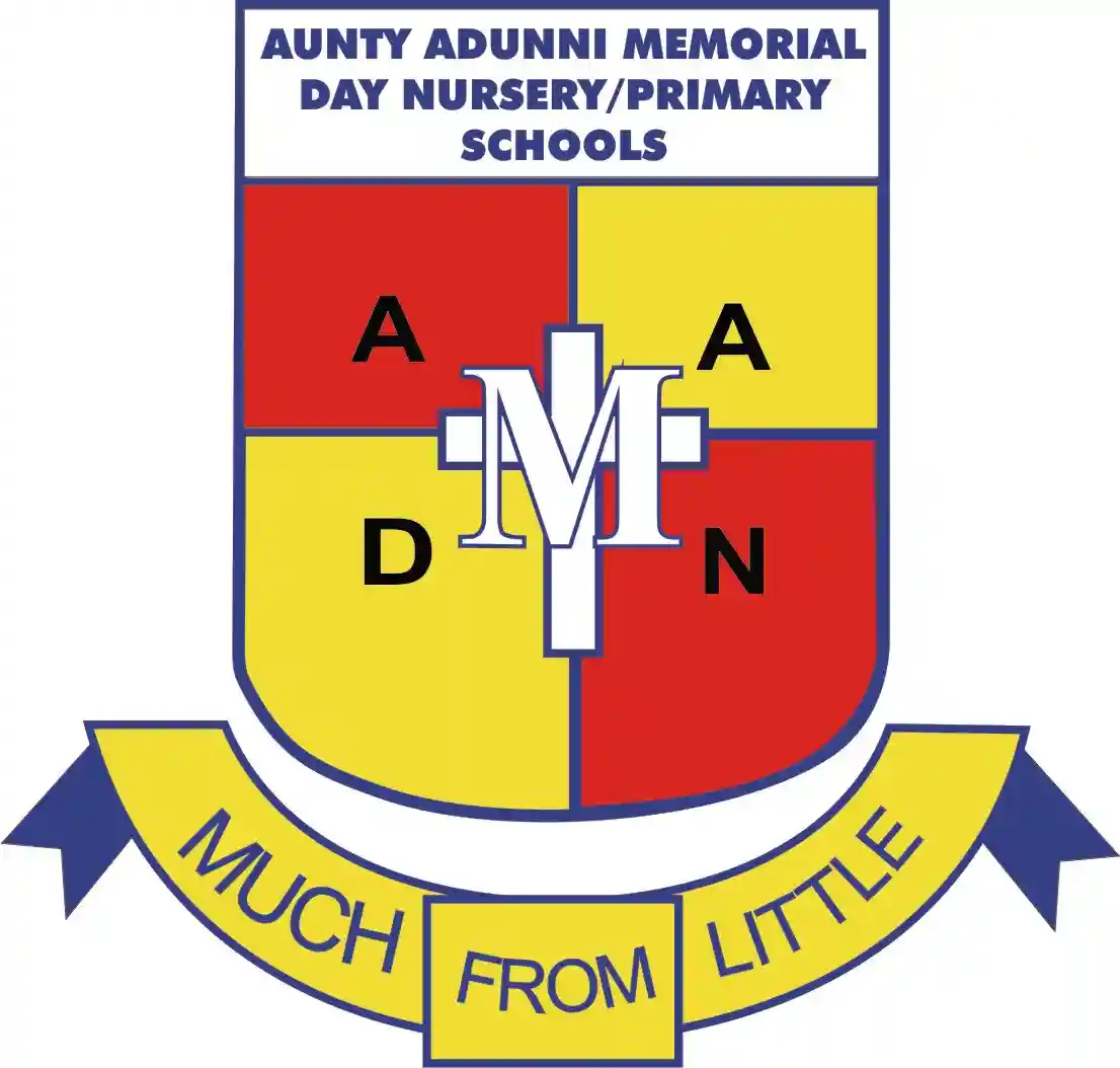 Aunty Adunni Schools logo