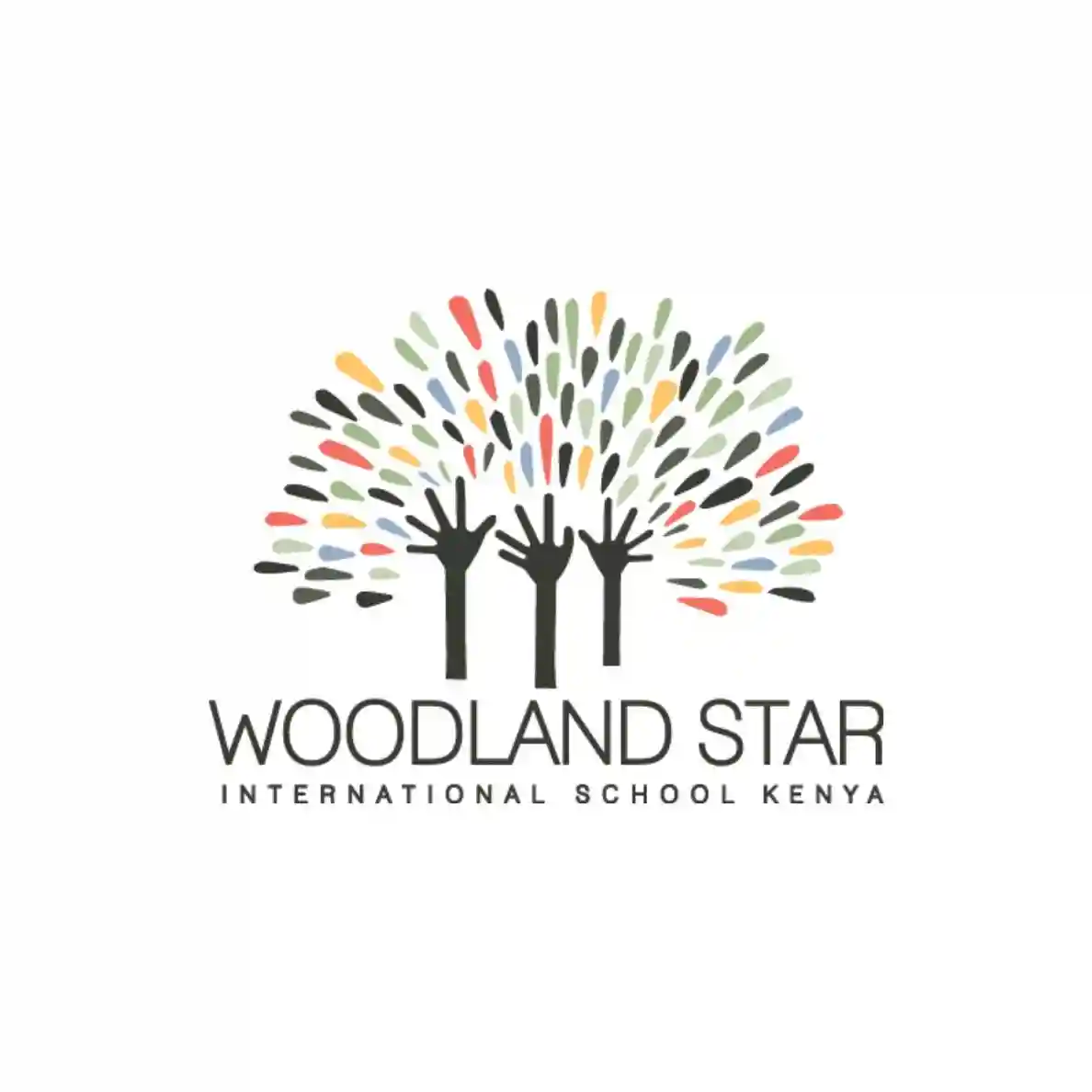 Woodland Star International School logo