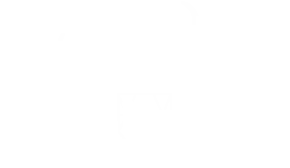 Diamond Academy logo