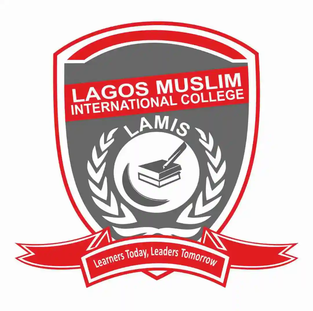 LAMIS SCHOOL logo