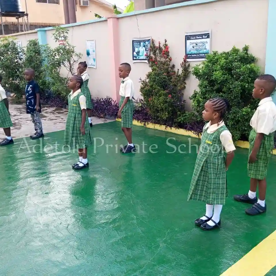Adetolu Private Schools logo