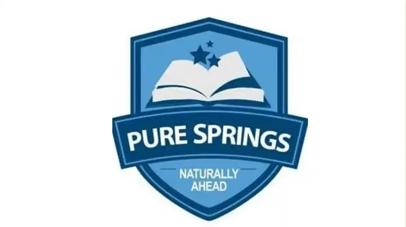 PURE springs International School logo