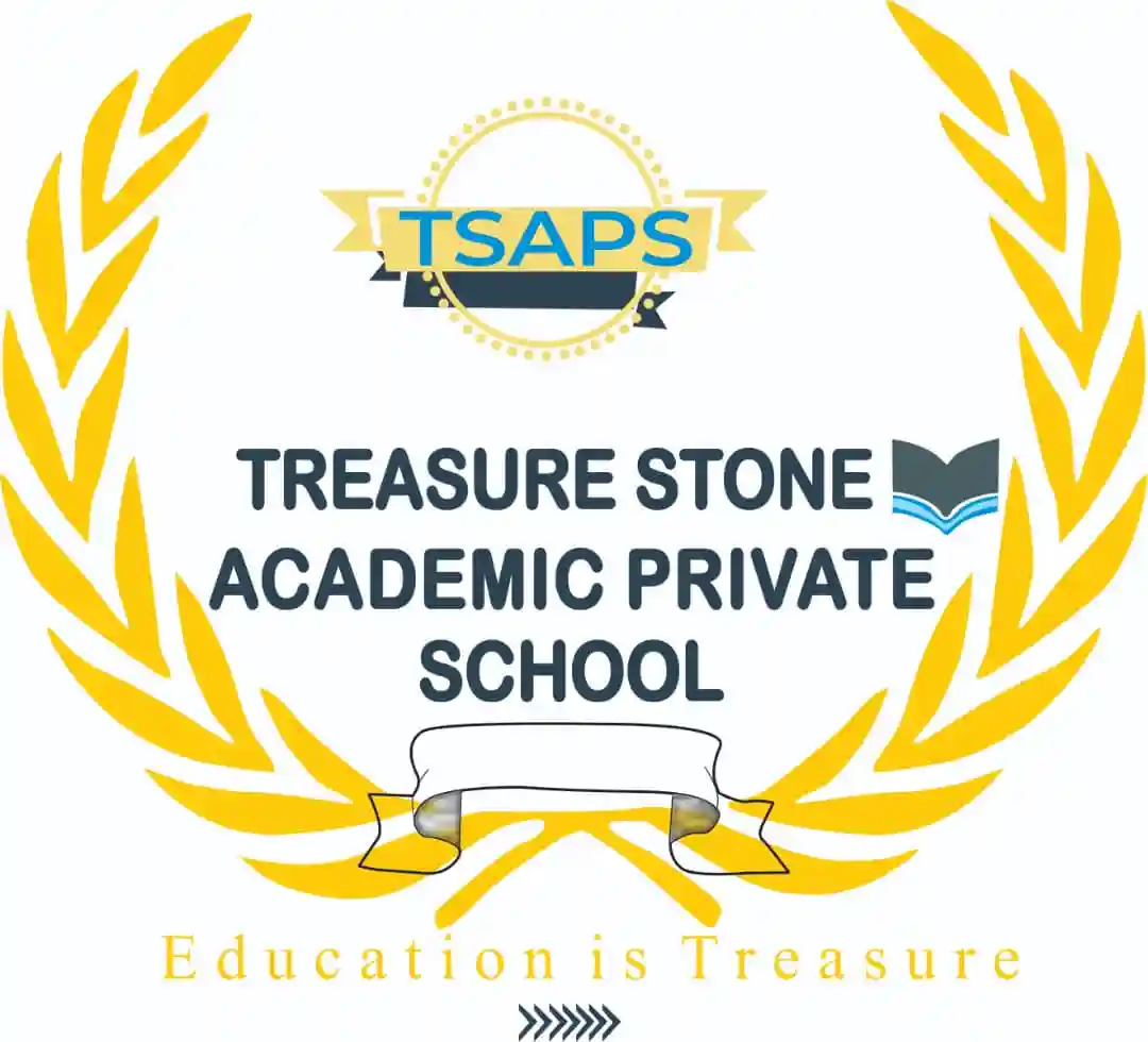 Treasure Stone Academic Private School logo