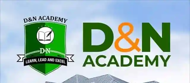 D and N Academy logo