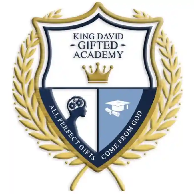 King David Gifted Children Academy, Ebonyi State logo