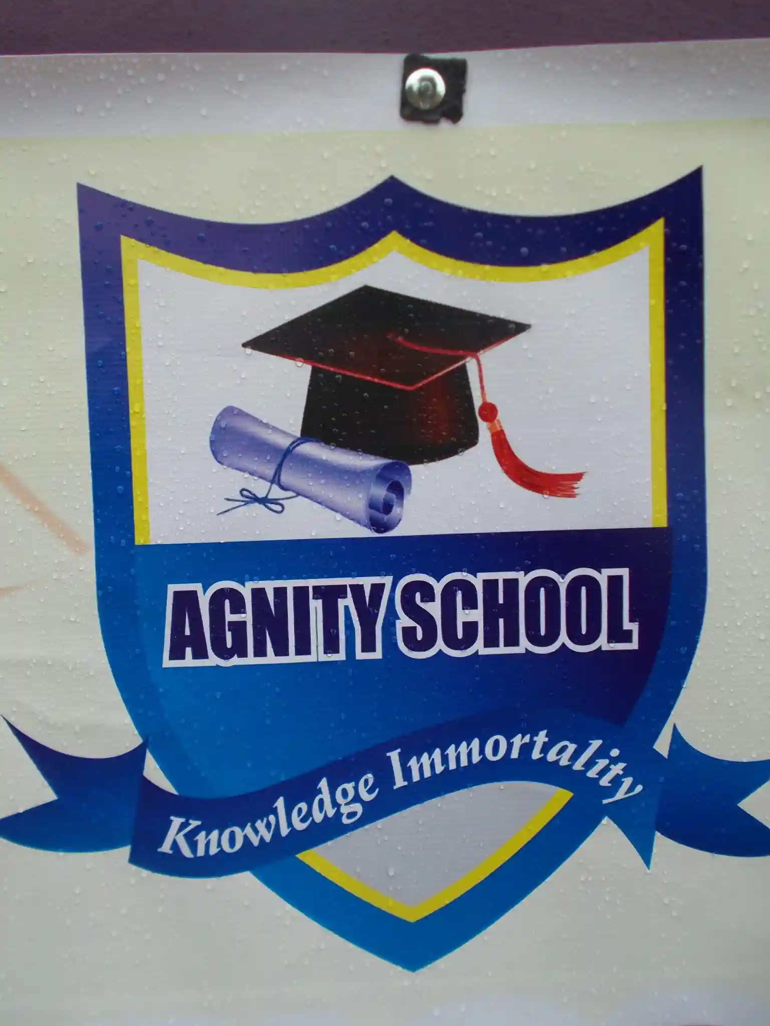 Agnity School logo