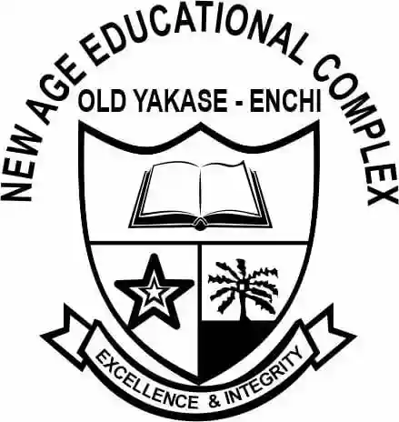 New Age Senior High School logo