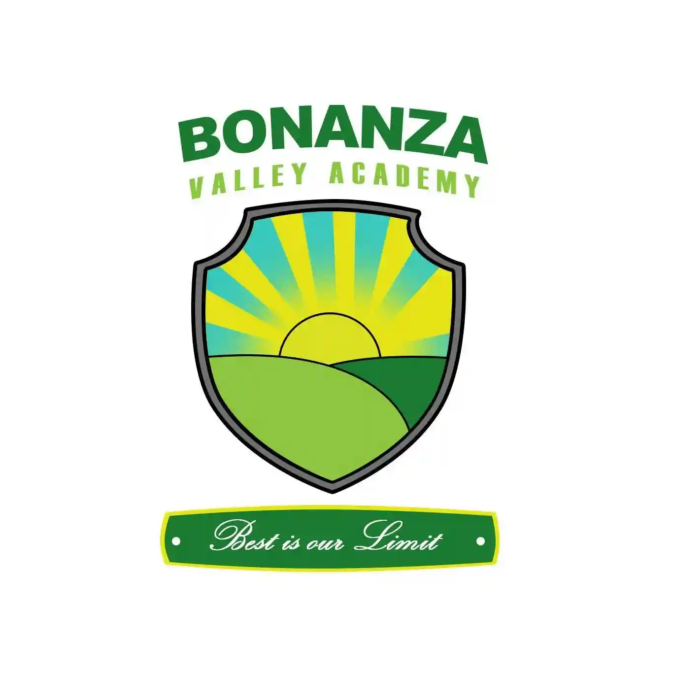 Bonanza Valley Academy logo