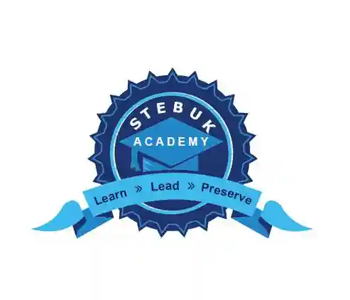Stebuk Academy logo