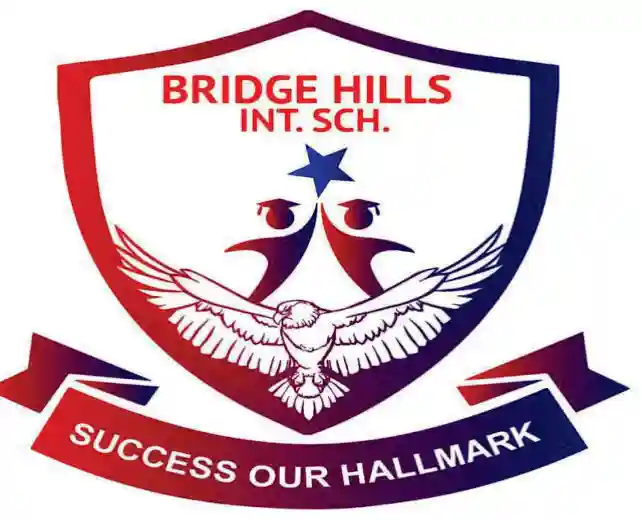 Bridge Hills International School logo