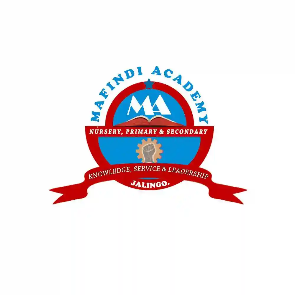 Mafindi Academy logo