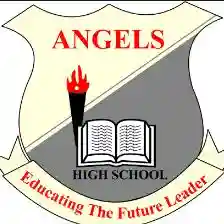 Angels Montessori High School logo