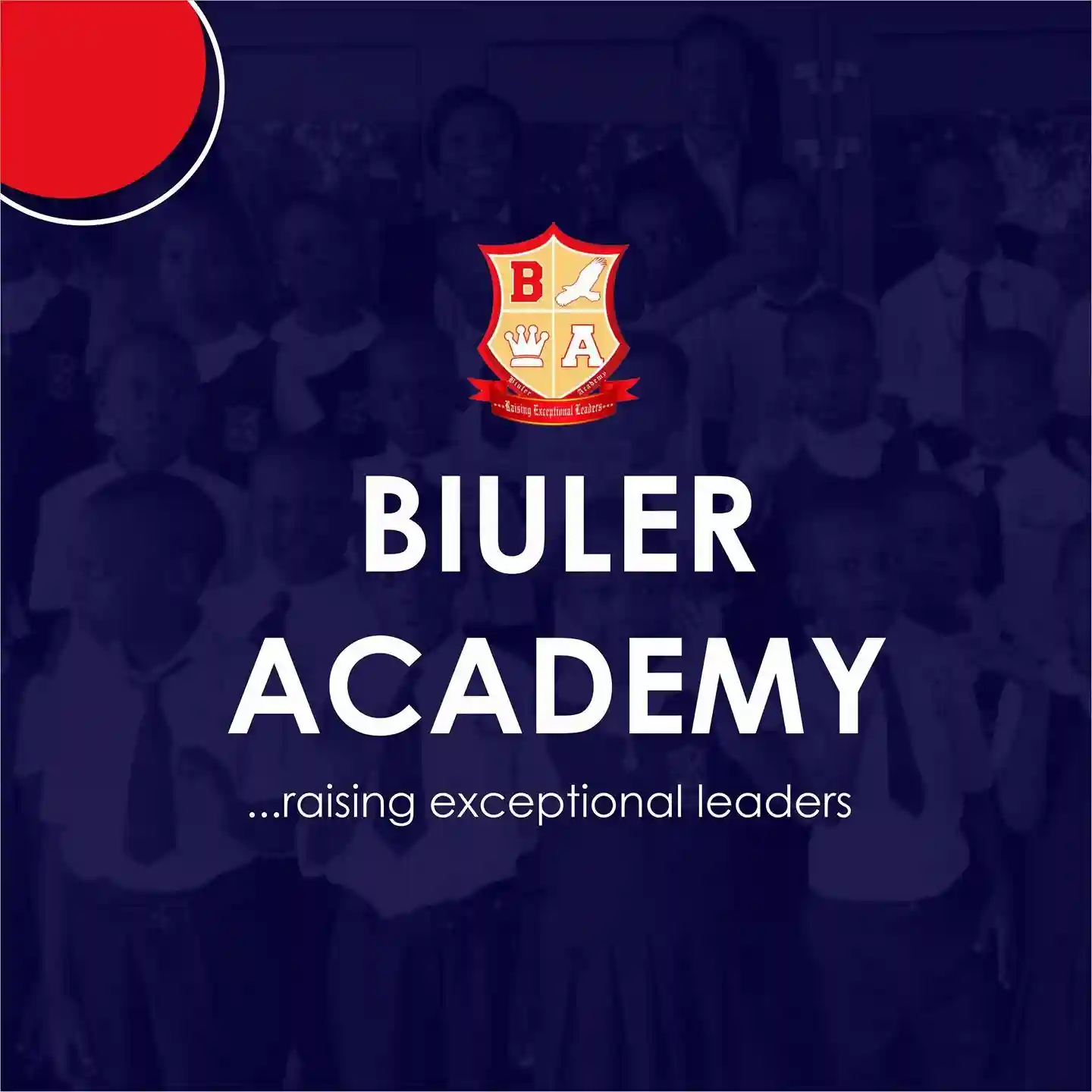 Biuler Academy logo