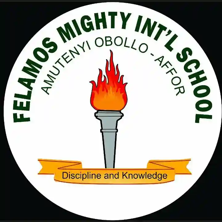Felamos Mighty International School logo