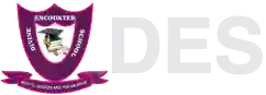 Divine Encounter International Schools logo