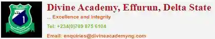 Divine Academy logo