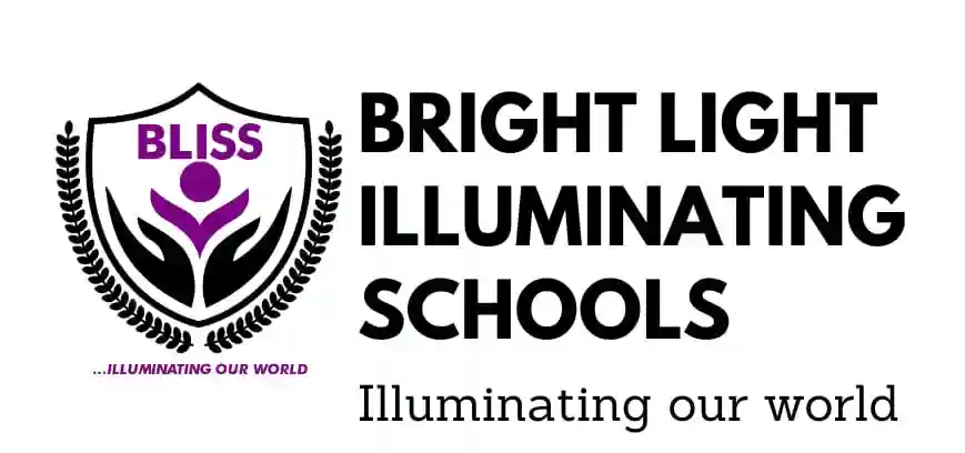 Bright Light Illuminating Schools logo