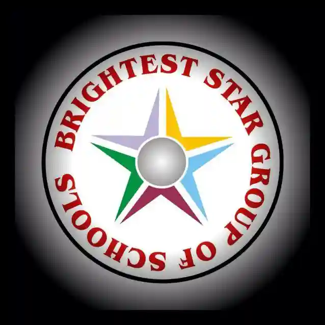 Bright Morning Star Schools, ibadan logo