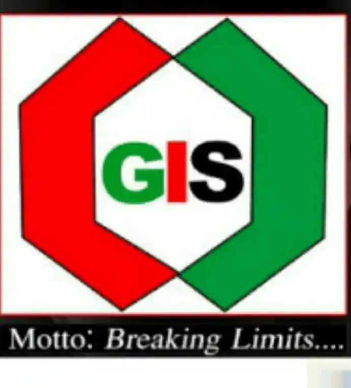 Geochin School logo