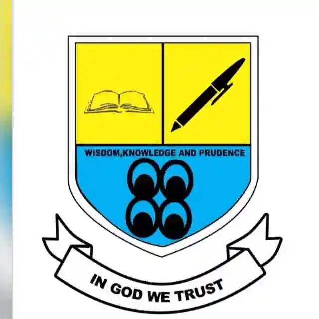 New Life International School, kumasi logo