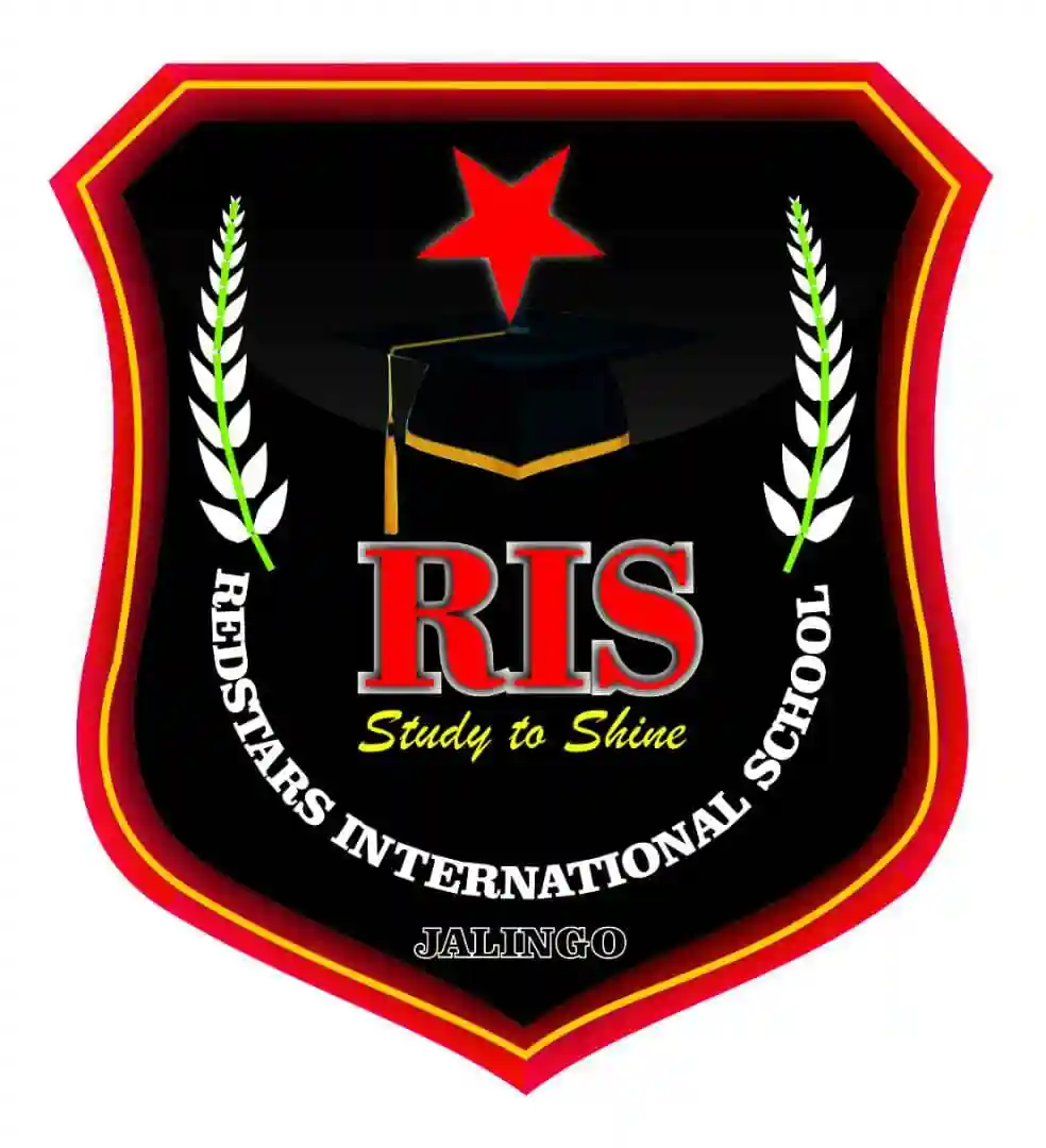 Redstars International School logo