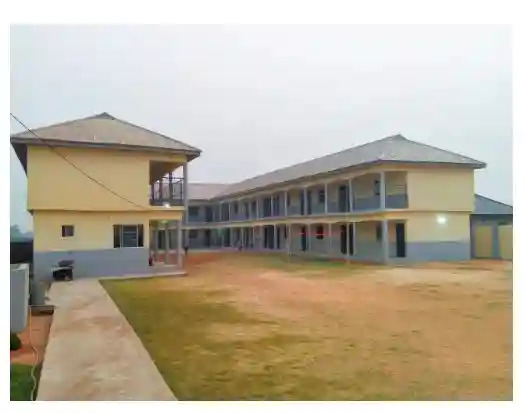 Bright Stars Schools logo
