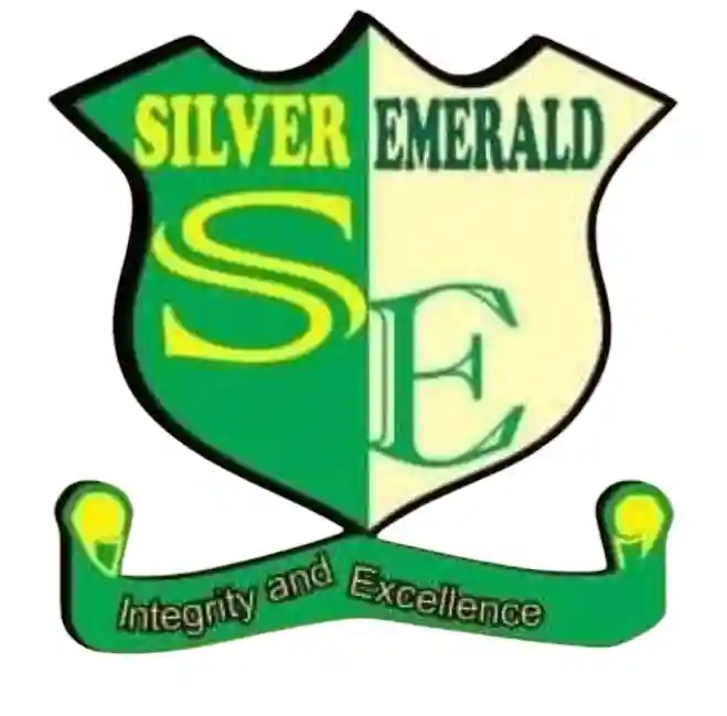 SILVER EMERALD NURSERY & PRIMARY SCHOOL logo