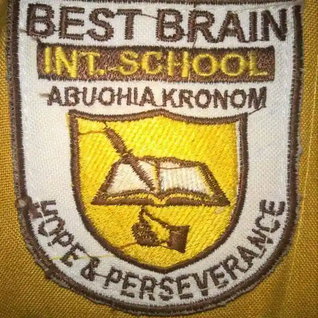 Best Brain International School, kumasi logo