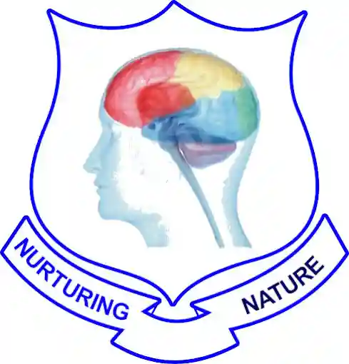 Dodzi Virgil Academy Complex logo